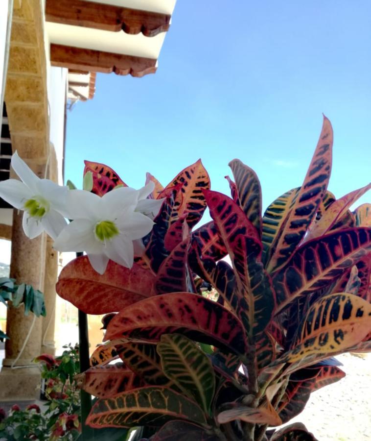 Hotel Gran Sirius Sachica Exterior photo
